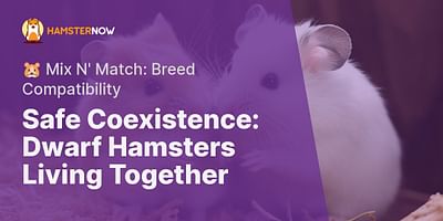 Safe Coexistence: Dwarf Hamsters Living Together - 🐹 Mix N' Match: Breed Compatibility