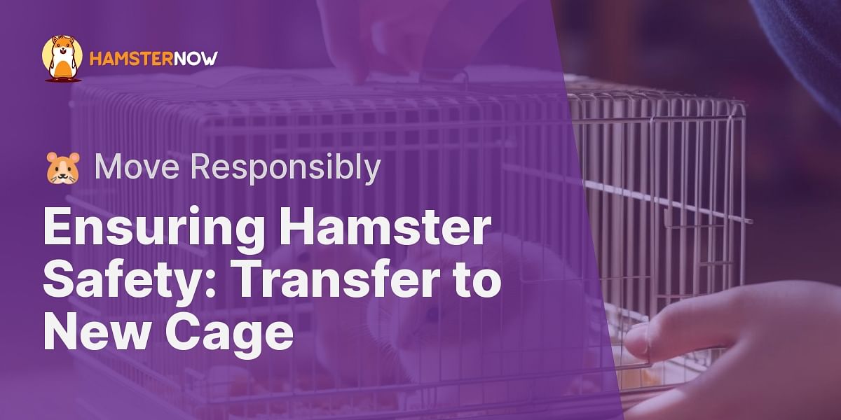 Is it Safe to Move a Hamster to a New Cage?