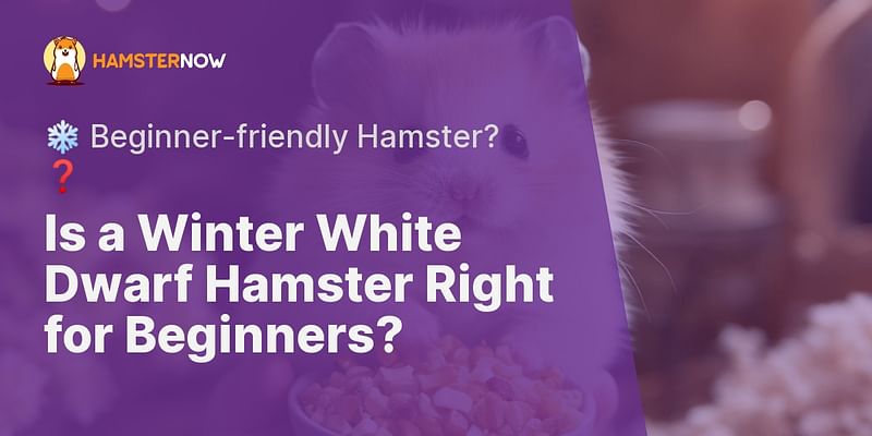 Is a Winter White Dwarf Hamster Right for Beginners? - ❄️ Beginner-friendly Hamster? ❓