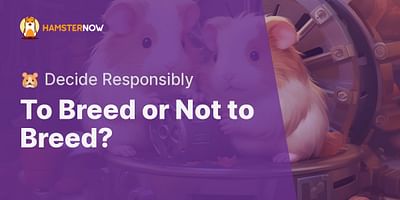 To Breed or Not to Breed? - 🐹 Decide Responsibly