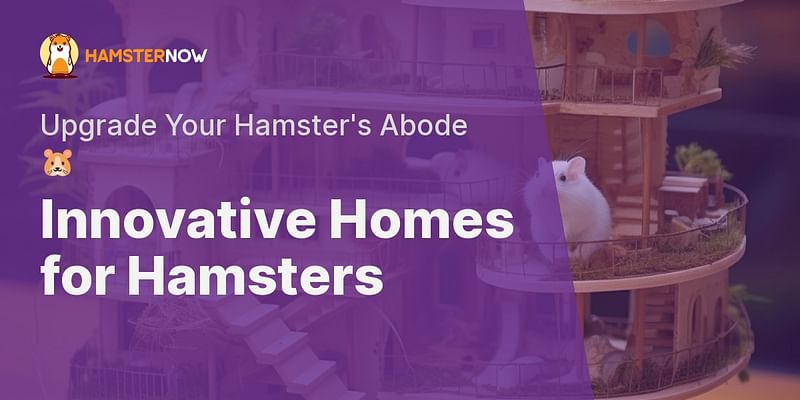 Innovative Homes for Hamsters - Upgrade Your Hamster's Abode 🐹
