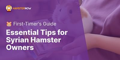 Essential Tips for Syrian Hamster Owners - 🐹 First-Timer's Guide