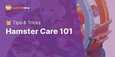 Hamster Care 101 - 🐹 Tips & Tricks