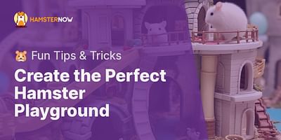 Create the Perfect Hamster Playground - 🐹 Fun Tips & Tricks