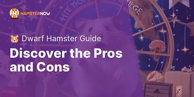 Discover the Pros and Cons - 🐹 Dwarf Hamster Guide