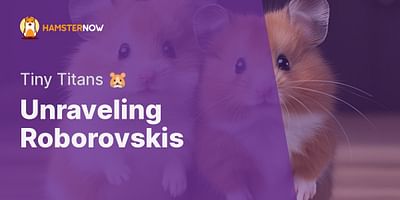 Unraveling Roborovskis - Tiny Titans 🐹