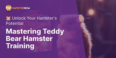 Mastering Teddy Bear Hamster Training - 🐹 Unlock Your Hamster's Potential