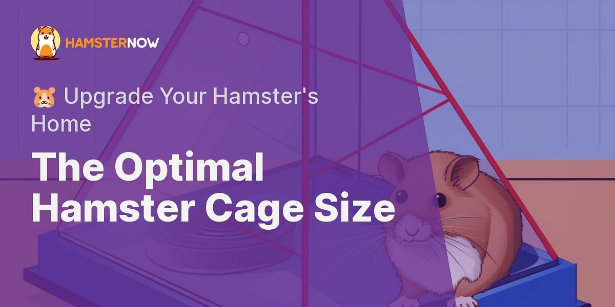 What are the minimum dimensions for a hamster cage?