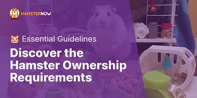 Discover the Hamster Ownership Requirements - 🐹 Essential Guidelines