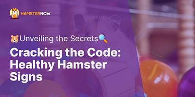 Cracking the Code: Healthy Hamster Signs - 🐹Unveiling the Secrets🔍