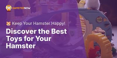 Discover the Best Toys for Your Hamster - 🐹 Keep Your Hamster Happy!
