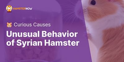 Unusual Behavior of Syrian Hamster - 🐹 Curious Causes