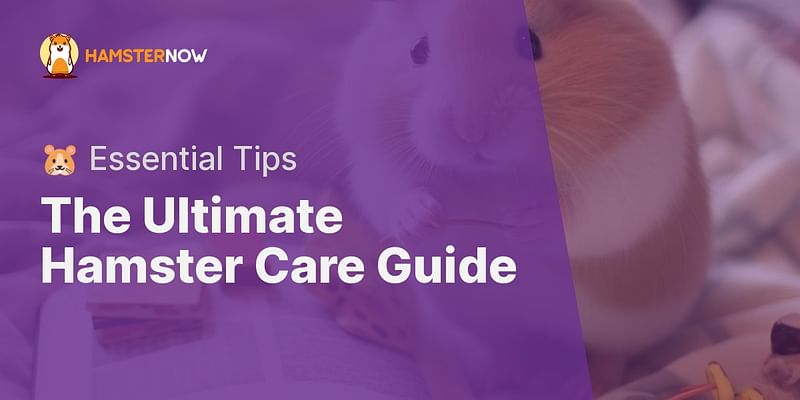 The Ultimate Hamster Care Guide - 🐹 Essential Tips