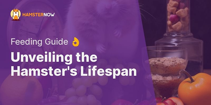 Unveiling the Hamster's Lifespan - Feeding Guide 👌