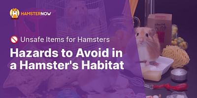 Hazards to Avoid in a Hamster's Habitat - 🚫 Unsafe Items for Hamsters