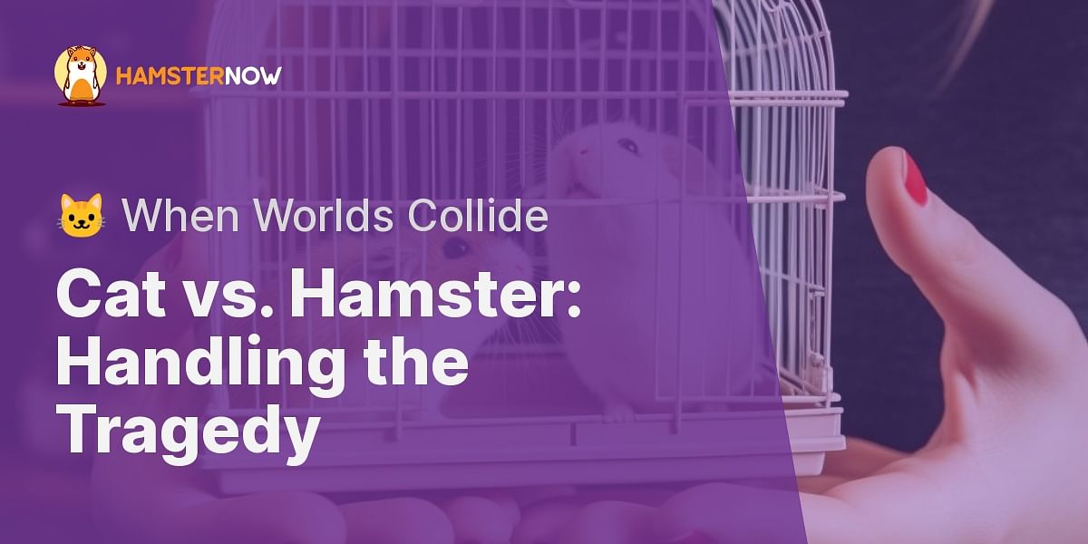 What should I do if my cat killed my hamster?