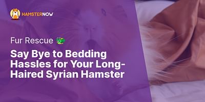 Say Bye to Bedding Hassles for Your Long-Haired Syrian Hamster - Fur Rescue 🐲