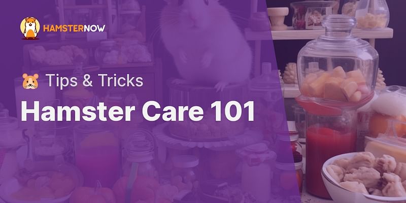 Hamster Care 101 - 🐹 Tips & Tricks