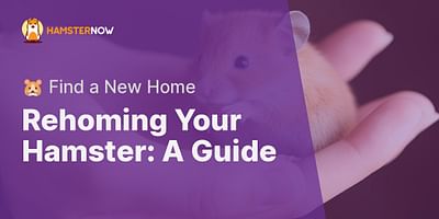 Rehoming Your Hamster: A Guide - 🐹 Find a New Home