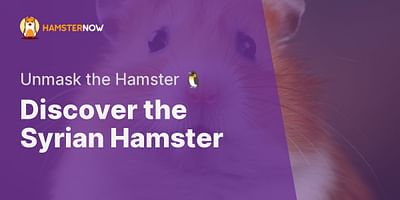 Discover the Syrian Hamster - Unmask the Hamster 🐧