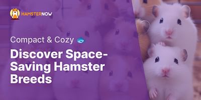 Discover Space-Saving Hamster Breeds - Compact & Cozy 🐟