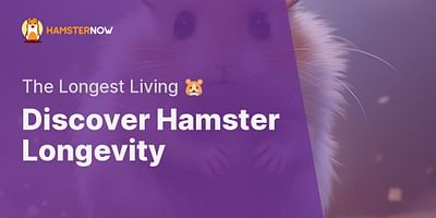 Discover Hamster Longevity - The Longest Living 🐹
