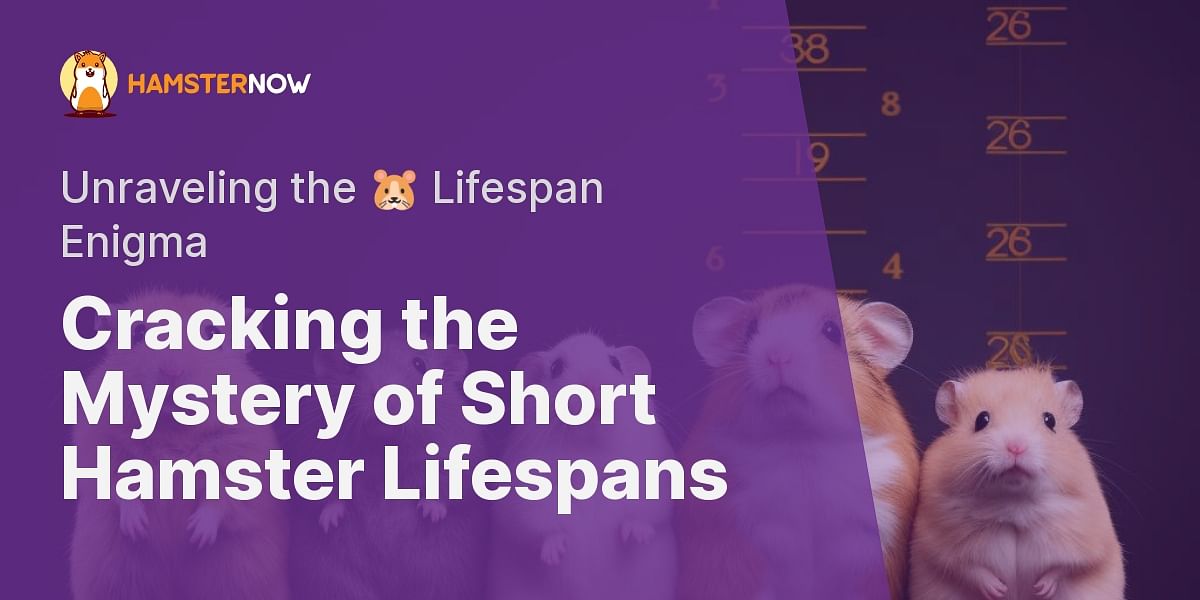 Why Do Hamsters Have Short Lifespans?