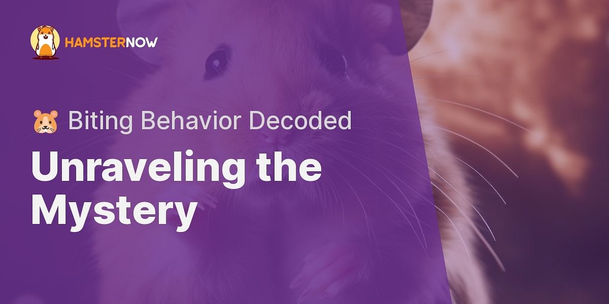 Why has my hamster started biting me after a year?