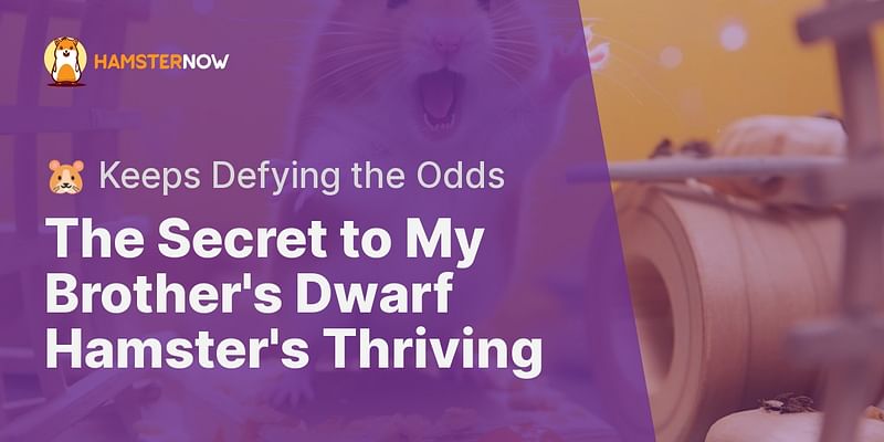 The Secret to My Brother's Dwarf Hamster's Thriving - 🐹 Keeps Defying the Odds