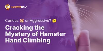 Cracking the Mystery of Hamster Hand Climbing - Curious 🐹 or Aggressive? 🤔