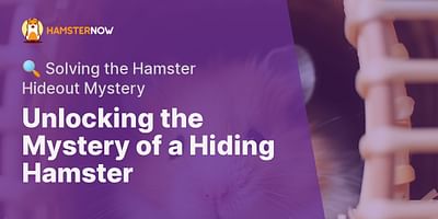 Unlocking the Mystery of a Hiding Hamster - 🔍 Solving the Hamster Hideout Mystery