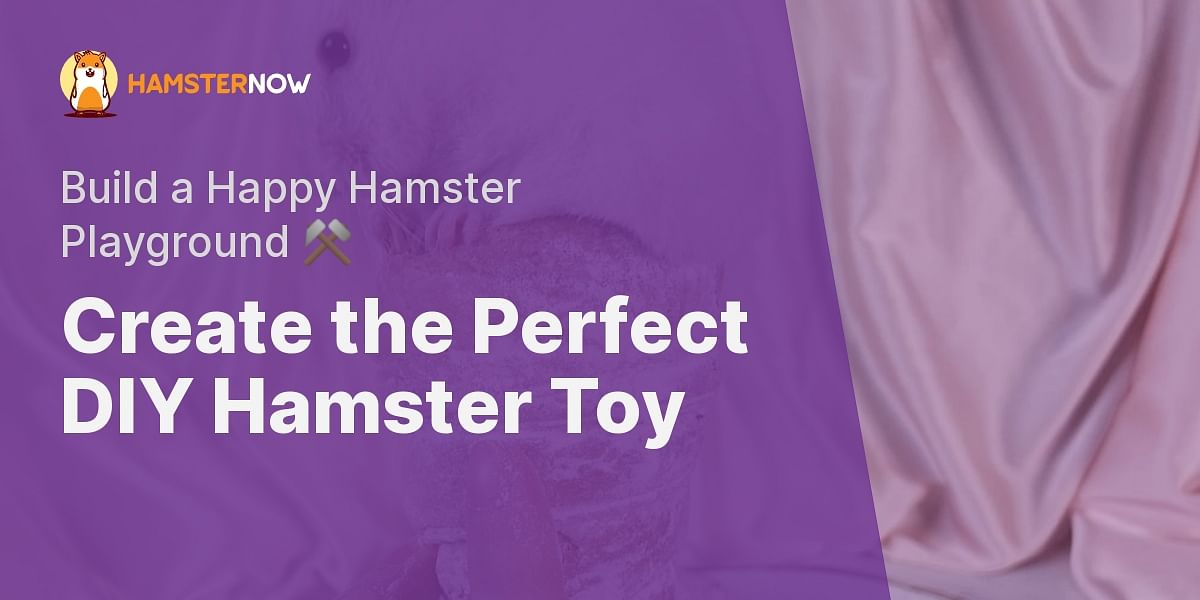 DIY Hamster Toy StepbyStep Guide Hamster Now