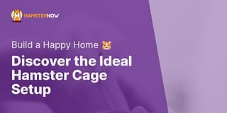 Discover the Ideal Hamster Cage Setup - Build a Happy Home 🐹