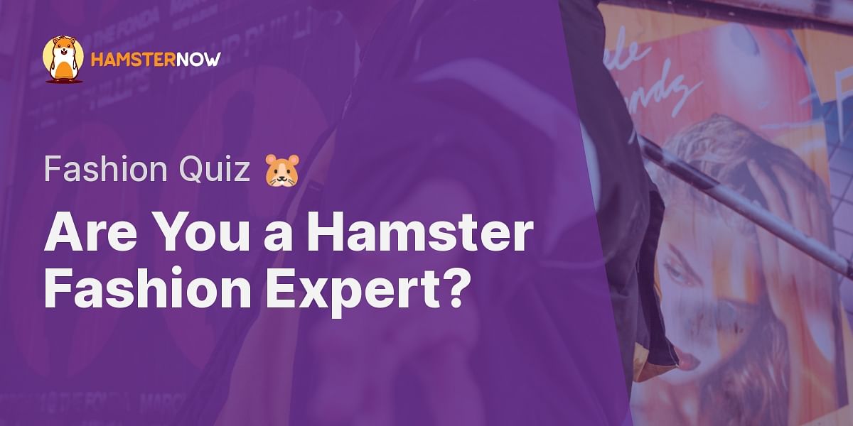 Hamster Fashion Quiz Test Your Knowledge on Hamster Clothes