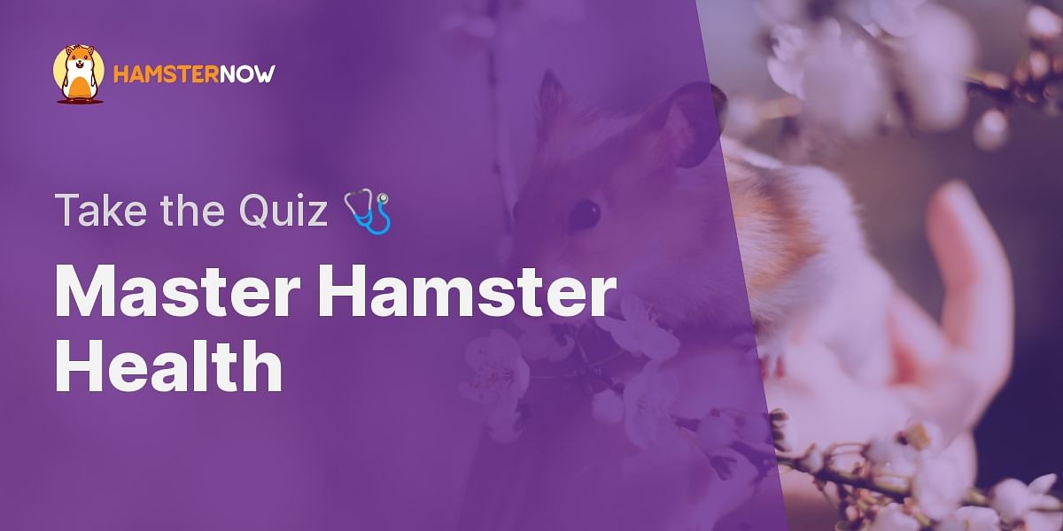 Hamster Health 101 Test Your Knowledge About Hamster Health