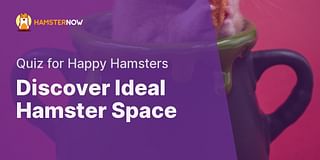 Discover Ideal Hamster Space - Quiz for Happy Hamsters