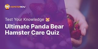 Ultimate Panda Bear Hamster Care Quiz - Test Your Knowledge 🐹