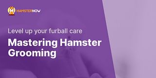 Mastering Hamster Grooming - Level up your furball care