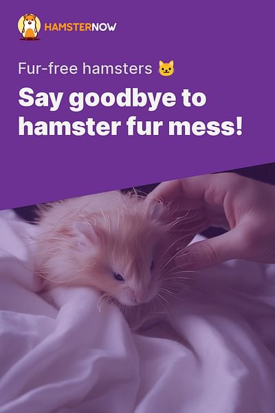 Say goodbye to hamster fur mess! - Fur-free hamsters 🐱