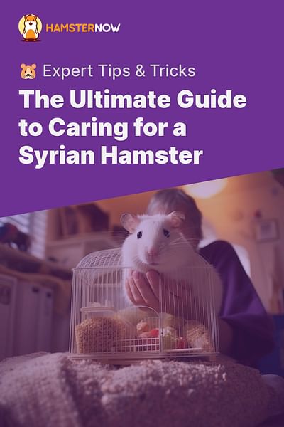The Ultimate Guide to Caring for a Syrian Hamster - 🐹 Expert Tips & Tricks
