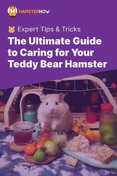 The Ultimate Guide to Caring for Your Teddy Bear Hamster - 🐹 Expert Tips & Tricks