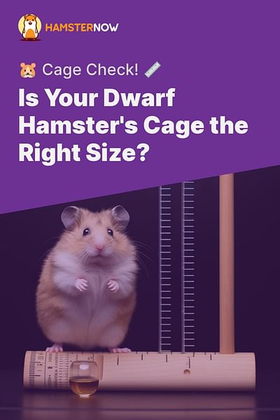 Is Your Dwarf Hamster's Cage the Right Size? - 🐹 Cage Check! 📏