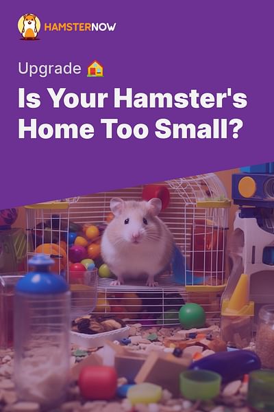 Is Your Hamster's Home Too Small? - Upgrade 🏠
