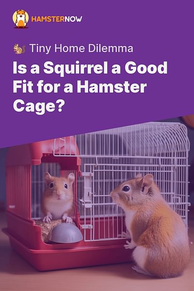 Is a Squirrel a Good Fit for a Hamster Cage? - 🐿️ Tiny Home Dilemma