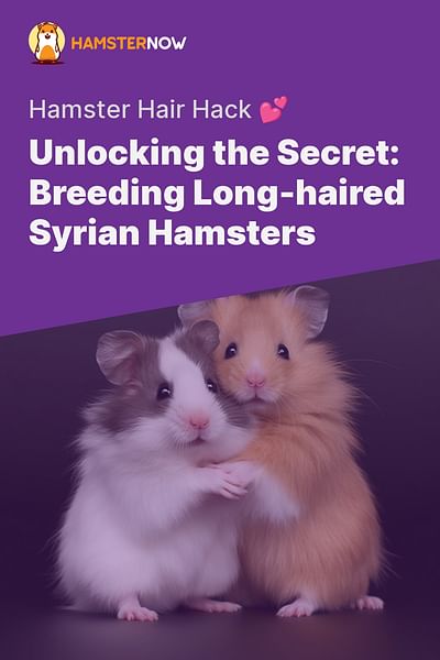Unlocking the Secret: Breeding Long-haired 
Syrian Hamsters - Hamster Hair Hack 💕