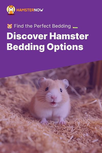 Discover Hamster Bedding Options - 🐹 Find the Perfect Bedding 🛏️