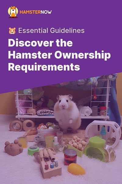 Discover the Hamster Ownership Requirements - 🐹 Essential Guidelines