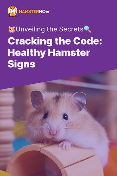 Cracking the Code: Healthy Hamster Signs - 🐹Unveiling the Secrets🔍