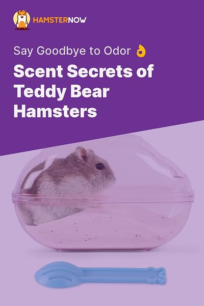 Scent Secrets of Teddy Bear Hamsters - Say Goodbye to Odor 👌