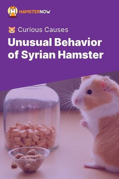 Unusual Behavior of Syrian Hamster - 🐹 Curious Causes